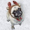 Pug Compact Reindeer3.jpg