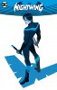 Nightwing1.jpg