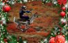 Reindeer- Rider xmas.jpg