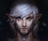 3db00e5a50870d4171609ef847698218--fantasy-elves-male-male-elves.jpg