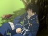 Roy Mustang 2.jpg