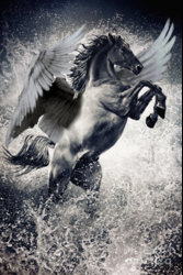 Winged Horse.jpg