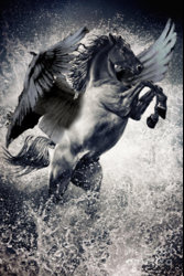 Winged Horse darker.jpg