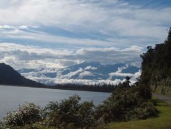 Whataroa Scenic Reserve2.jpg