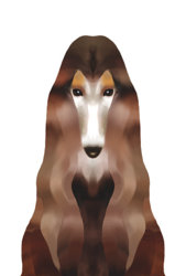 afghan_hound_art.jpg