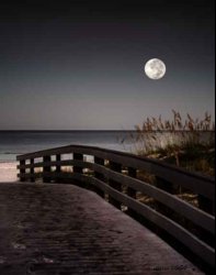 Moon-walkway11x14_3F.jpg