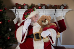 Santa and teddy.jpg