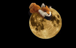 8 full-moon.jpg