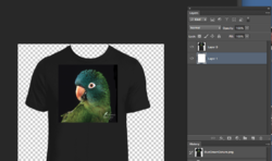 conure.png