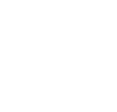 lion-cage-festival-logo.png