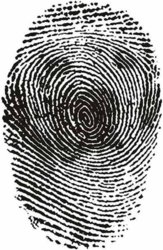 fingerprint-illusions-5.jpg