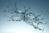 bufferfly-splash-liquid-photography-alex-koloskov.jpg