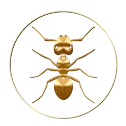 ant-gold.png