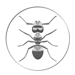 ant-silver.png