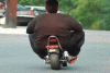 idadscooter.gif