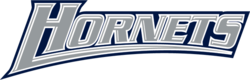 K-Hornet-Wordmark2.png