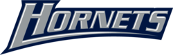 K-Hornet-Wordmark3.png