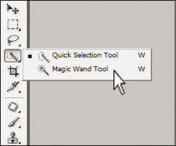 magic_wand_tool_button.jpg