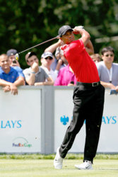 pga_g_woods1x_400.jpg