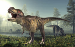 hith-t-rex-cannibal-2.jpg