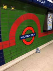 BunnyPiccadillyCircus_01.jpg