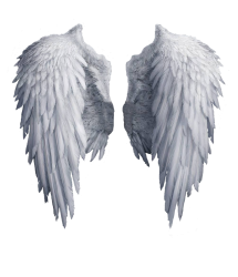 angel-wings-transparent-background-3.png